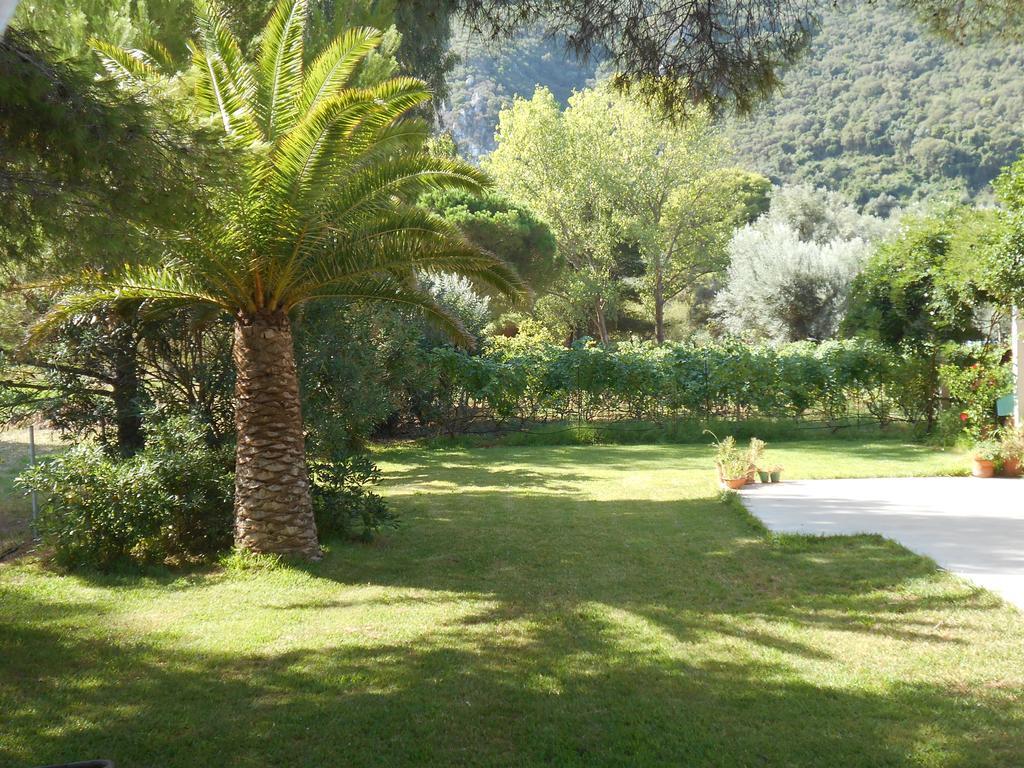 Brunello Seaside Apartments Lefkada City ภายนอก รูปภาพ
